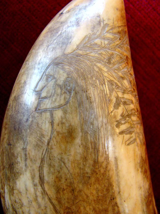 A 19th century Scrimshaw whale's tooth